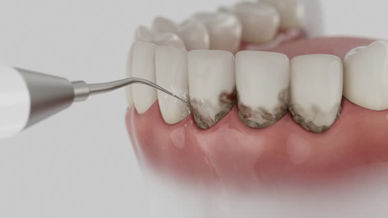 Reliable Dental contractor in Lake Charles, LA by Dentist Open Now